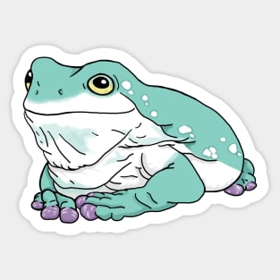 White's Dumpy Tree Frog Sticker